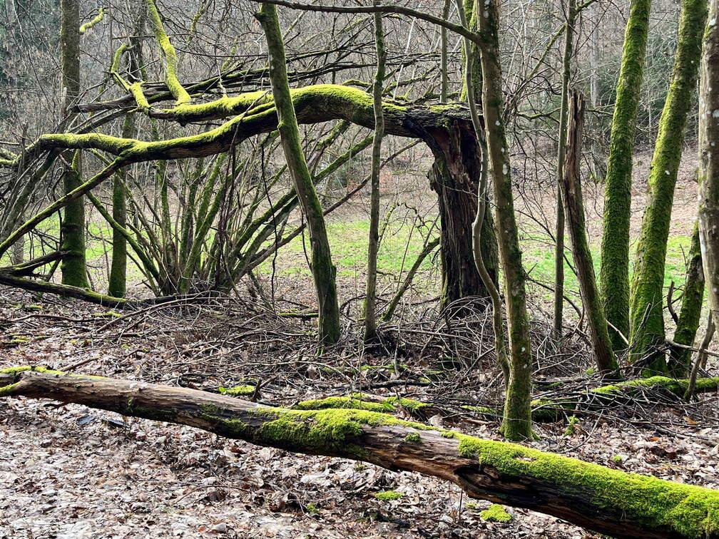 24-02-26 14-53-05 8716